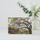 Laura Plantation, New Orlean Briefkaart (Staand voorkant)