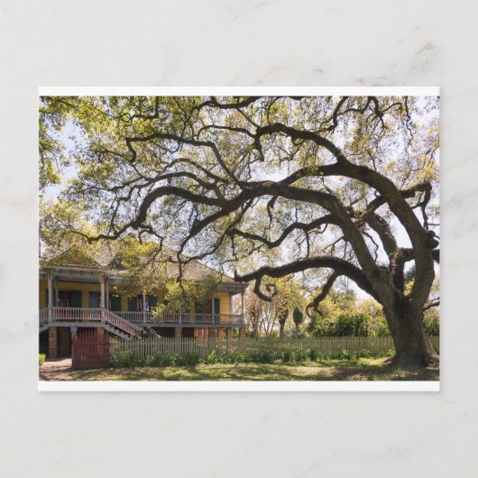 Laura Plantation, New Orlean Briefkaart (Voorkant)