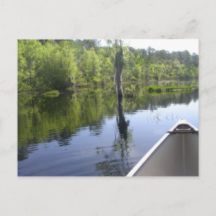 "LAURA S. WALKER STATE PARK" BRIEFKAART