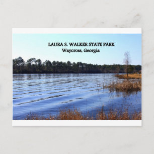 LAURA S. WALKER STATE PARK - Waycross, Georgia Briefkaart
