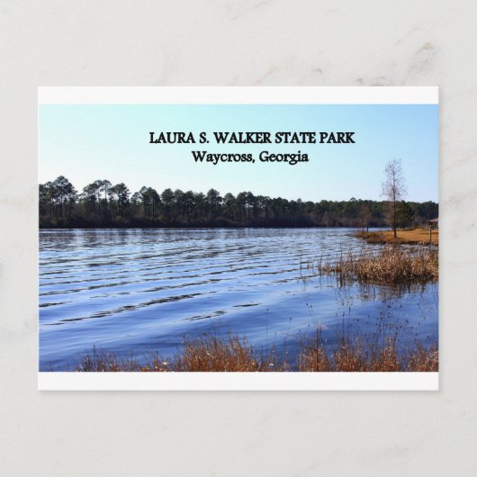 LAURA S. WALKER STATE PARK - Waycross, Georgia Briefkaart (Voorkant)