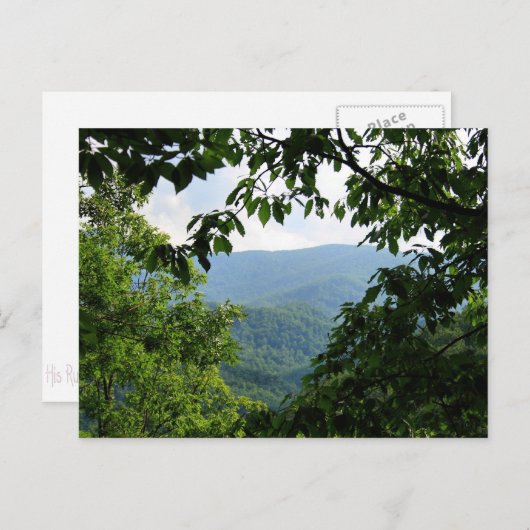 Laurel Herfsten Briefkaart (Voorkant / Achterkant)