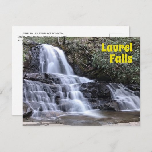 Laurel-Herfsten in het Grote Smoky-gebergte Briefkaart (Voorkant / Achterkant)