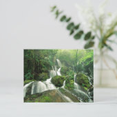 Laurel Herfsten, Tennessee Briefkaart (Staand voorkant)