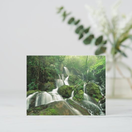 Laurel Herfsten, Tennessee Briefkaart (Staand voorkant)