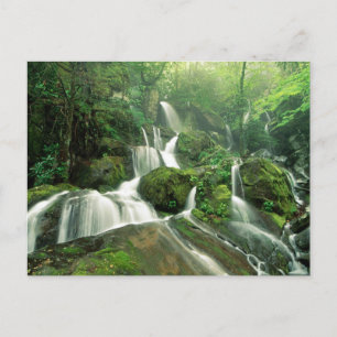 Laurel Herfsten, Tennessee Briefkaart