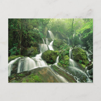 Laurel Herfsten, Tennessee Briefkaart