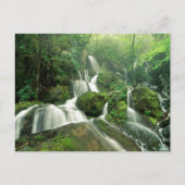 Laurel Herfsten, Tennessee Briefkaart (Voorkant)