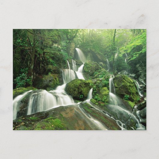 Laurel Herfsten, Tennessee Briefkaart (Voorkant)