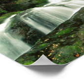 Laurel Herfsten, Tennessee Poster (Hoek)