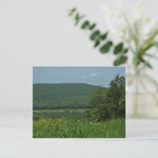Laurel Highlands Pennsylvania Summer Photography (Staand voorkant)