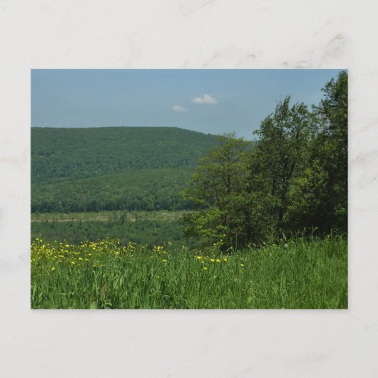 Laurel Highlands Pennsylvania Summer Photography Briefkaart (Voorkant)