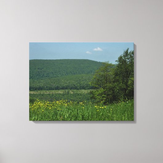 Laurel Highlands Pennsylvania Summer Photography Canvas Afdruk (Voorkant)