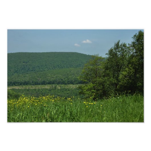 Laurel Highlands Pennsylvania Summer Photography Foto Afdruk (Voorkant)