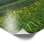 Laurel Highlands Pennsylvania Summer Photography Foto Afdruk (Hoek)