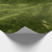 Laurel Highlands Pennsylvania Summer Photography Houten Poster (Hoek)