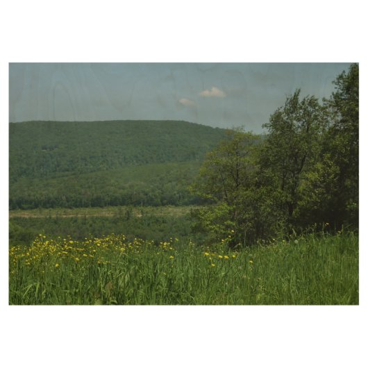 Laurel Highlands Pennsylvania Summer Photography Houten Poster (Voorkant)