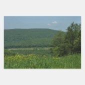 Laurel Highlands Pennsylvania Summer Photography Inpakpapier Vel (Voorkant 3)