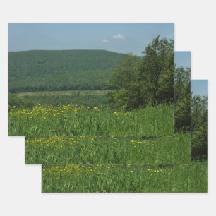 Laurel Highlands Pennsylvania Summer Photography Inpakpapier Vel