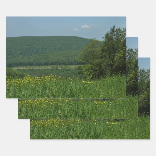 Laurel Highlands Pennsylvania Summer Photography Inpakpapier Vel (Set)
