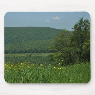 Laurel Highlands Pennsylvania Summer Photography Muismat