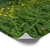 Laurel Highlands Pennsylvania Summer Photography Poster (Hoek)