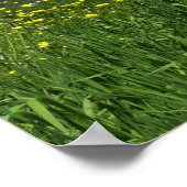 Laurel Highlands Pennsylvania Summer Photography Poster (Hoek)