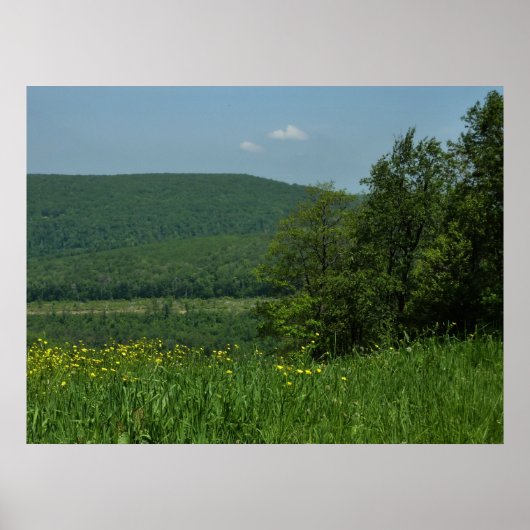 Laurel Highlands Pennsylvania Summer Photography Poster (Voorkant)