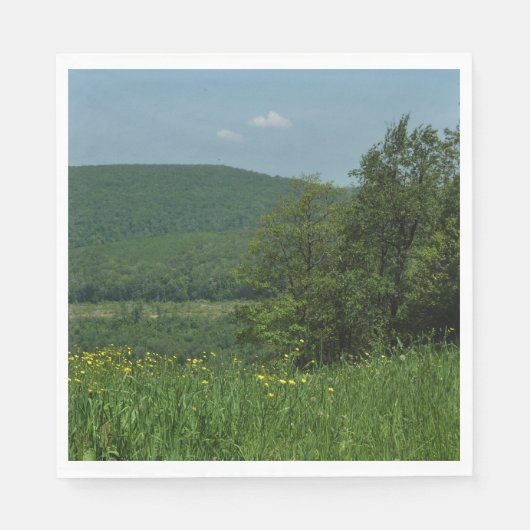 Laurel Highlands Pennsylvania Summer Photography Servetten (Voorkant)