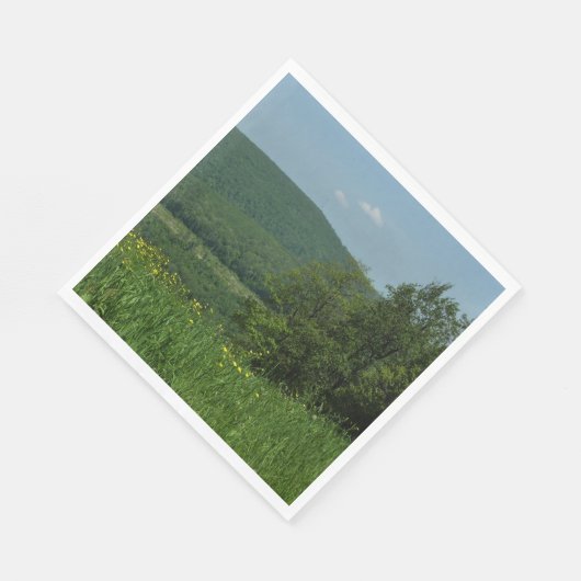 Laurel Highlands Pennsylvania Summer Photography Servetten (Hoek)