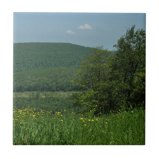 Laurel Highlands Pennsylvania Summer Photography Tegeltje (Voorkant)
