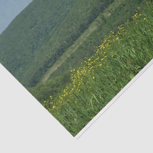 Laurel Highlands Pennsylvania Summer Photography Tissuepapier (Detail)