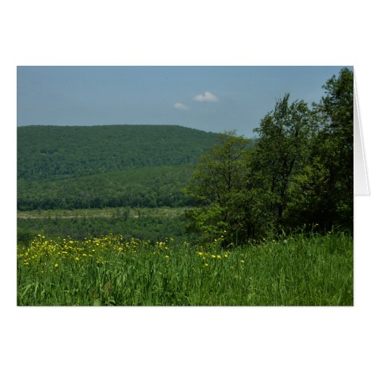 Laurel Highlands Pennsylvania Zomer Fotografie (Voorkant Horizontaal)