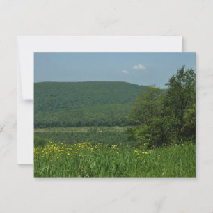Laurel Highlands Pennsylvania Zomer Fotografie
