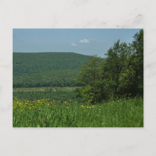 Laurel Highlands Pennsylvania Zomer Fotografie Briefkaart