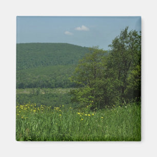 Laurel Highlands Pennsylvania Zomer Fotografie Magneet