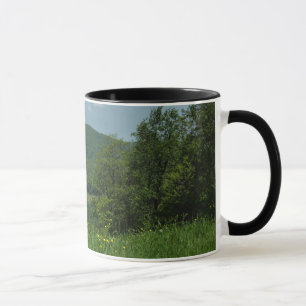 Laurel Highlands Pennsylvania Zomer Fotografie Mok
