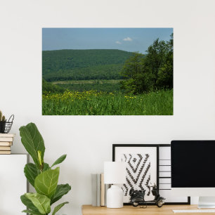 Laurel Highlands Pennsylvania Zomer Fotografie Poster
