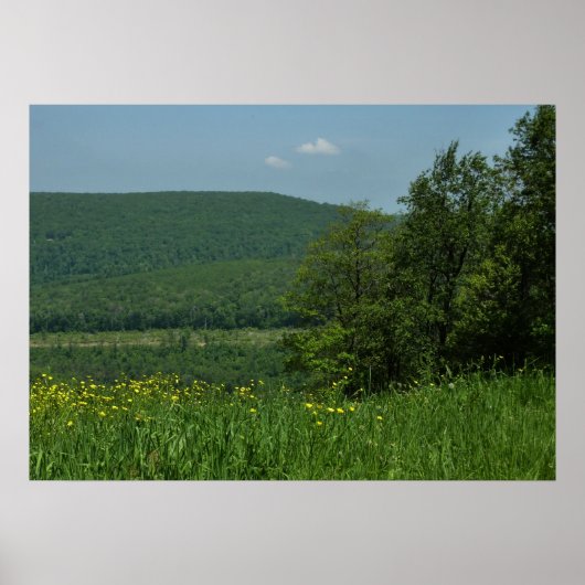 Laurel Highlands Pennsylvania Zomer Fotografie Poster (Voorkant)