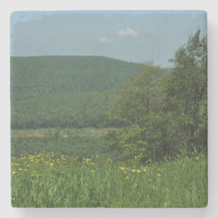 Laurel Highlands Pennsylvania Zomer Fotografie Stenen Onderzetter