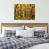 Laurel Hill Trail in de herfst Canvas Afdruk (Insitu (Slaapkamer))