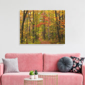 Laurel Hill Trail in de herfst Canvas Afdruk (Insitu (Woonkamer))