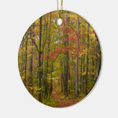 Laurel Hill Trail in de herfst Keramisch Ornament (Links)
