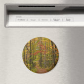 Laurel Hill Trail in de herfst Magneet (Insitu (Vaatwasser))