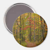 Laurel Hill Trail in de herfst Magneet (Voorkant / Achterkant)