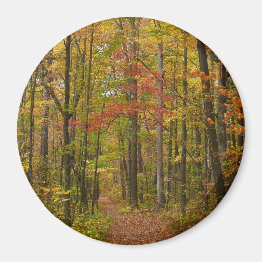 Laurel Hill Trail in de herfst Magneet (Voorkant)