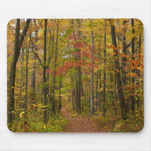 Laurel Hill Trail in de herfst Muismat (Voorkant)