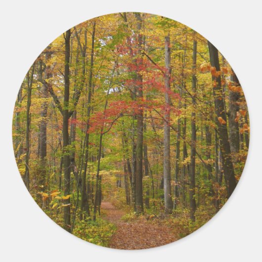Laurel Hill Trail in de herfst Ronde Sticker (Voorkant)