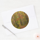 Laurel Hill Trail in de herfst Ronde Sticker (Envelop)