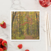 Laurel Hill Trail in de herfst Servetten (Insitu)